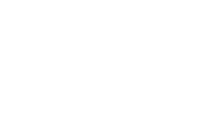 Dollar Tree — manufacturing client