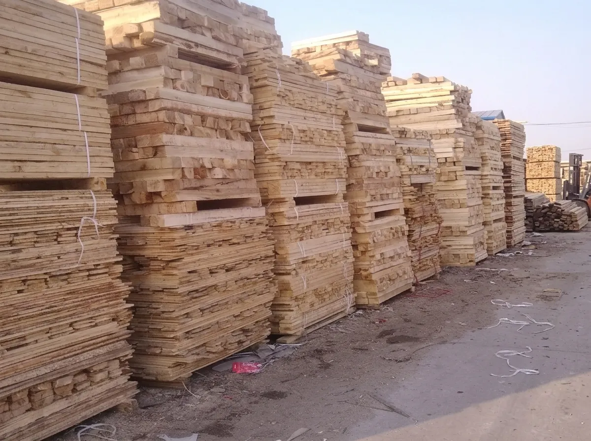 Timber & Culm Selection — Wood & Bamboo production at EcoHairFactory