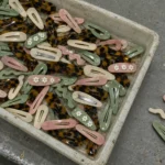 Tray of acetate snap hair clips in tortoiseshell, cream, pink and sage green, two turned over to show the steel snap strip